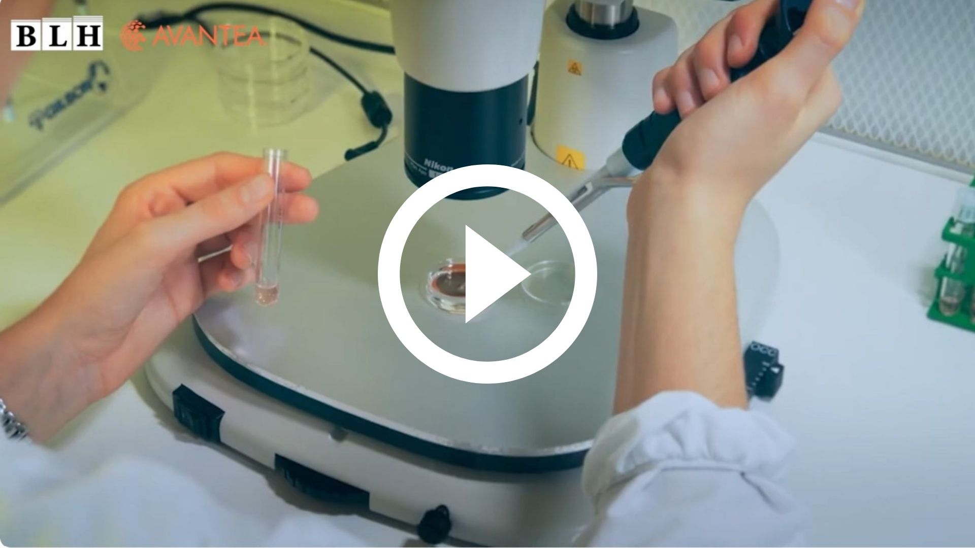 Image is not available