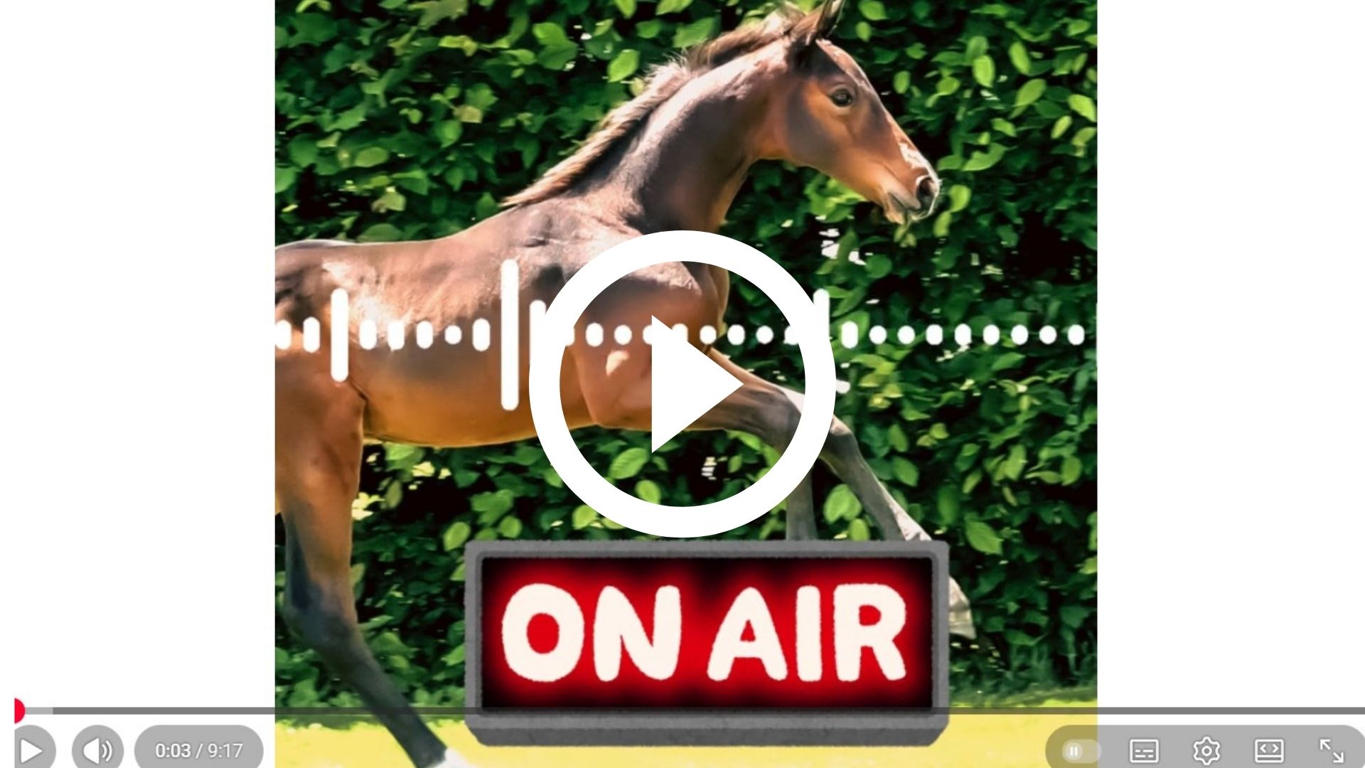 Image is not available