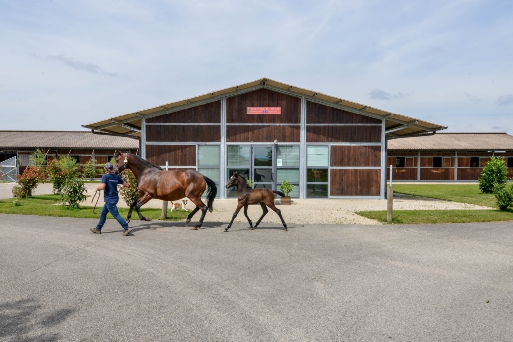 Béligneux Le Haras