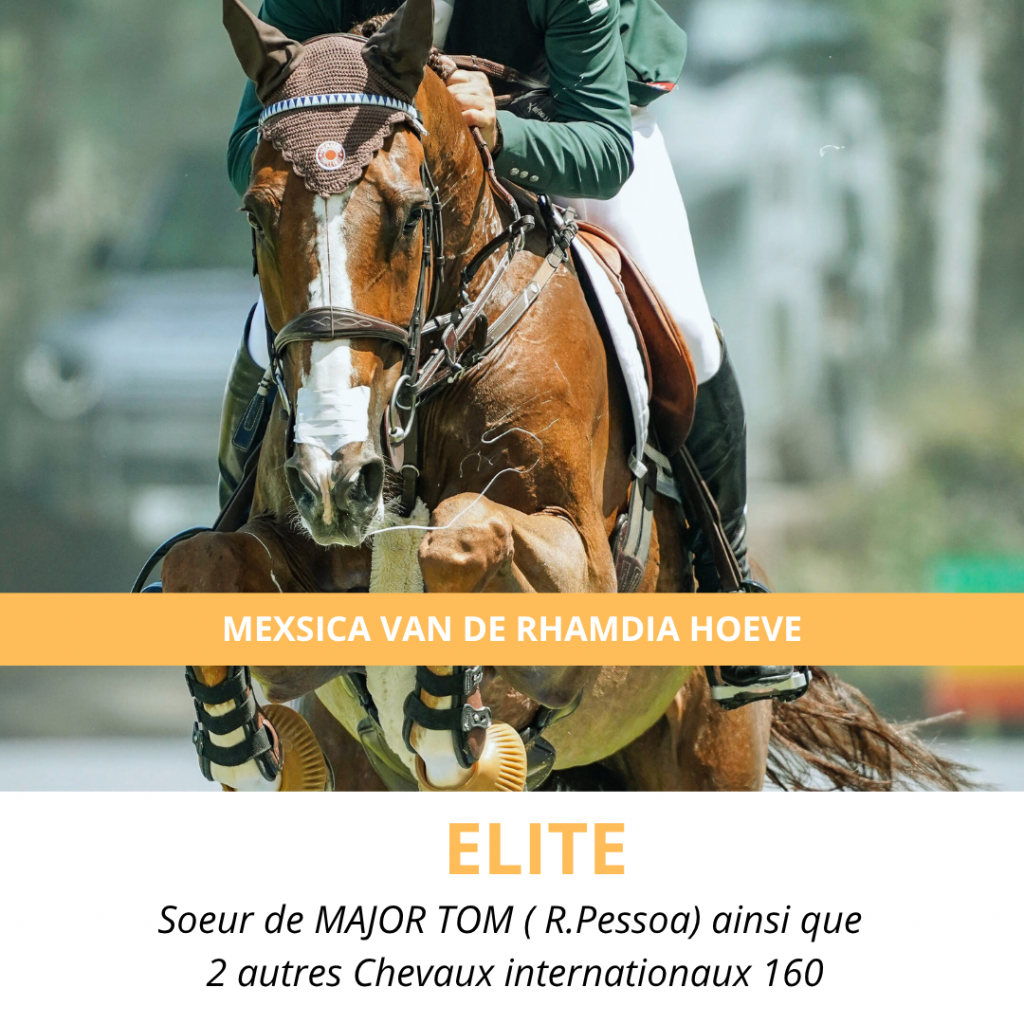 MEXSICA VAN DE RHAMDIA HOEVE