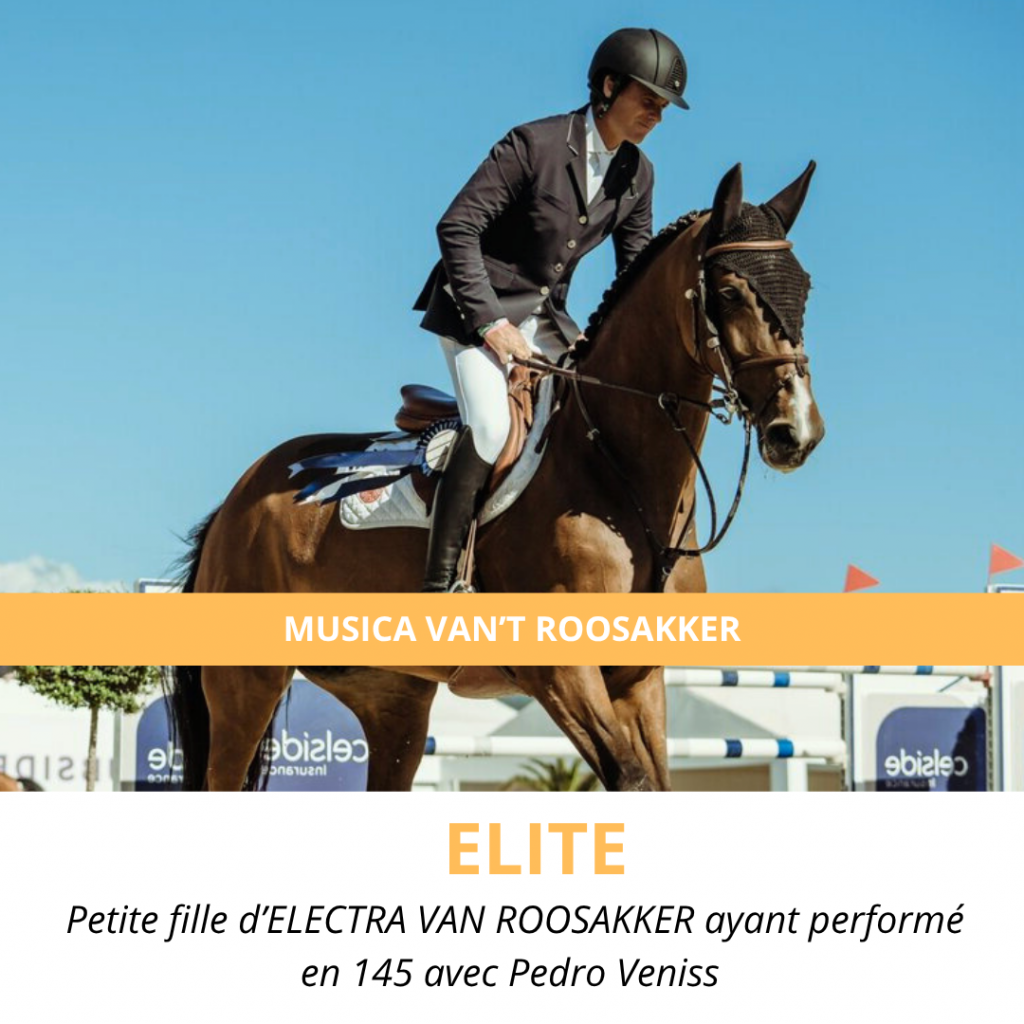 MUSICA VAN'T ROOSAKKER