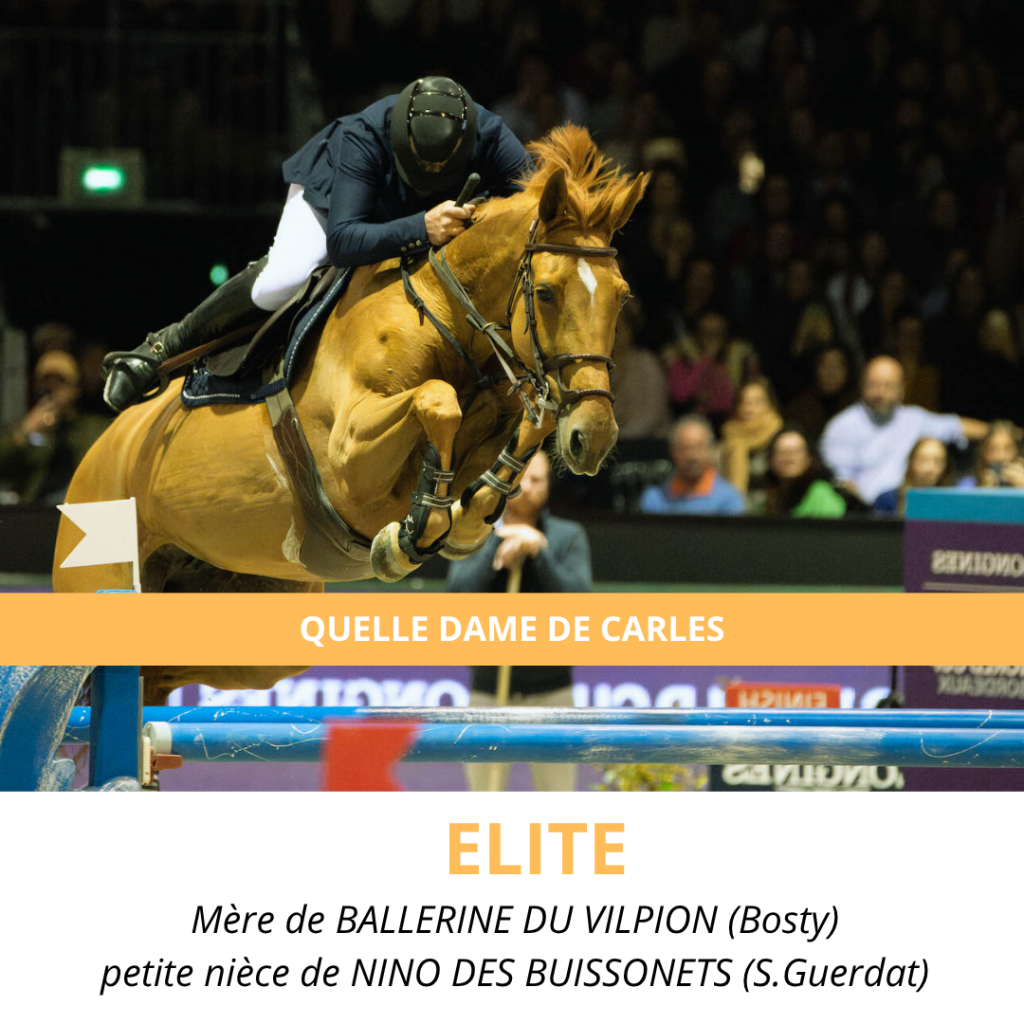 QUELLE DAME DE CARLES