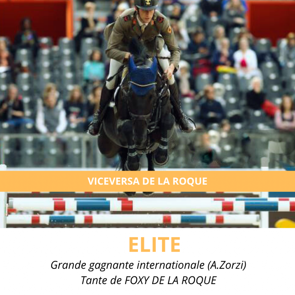 VICEVERSA DE LA ROQUE