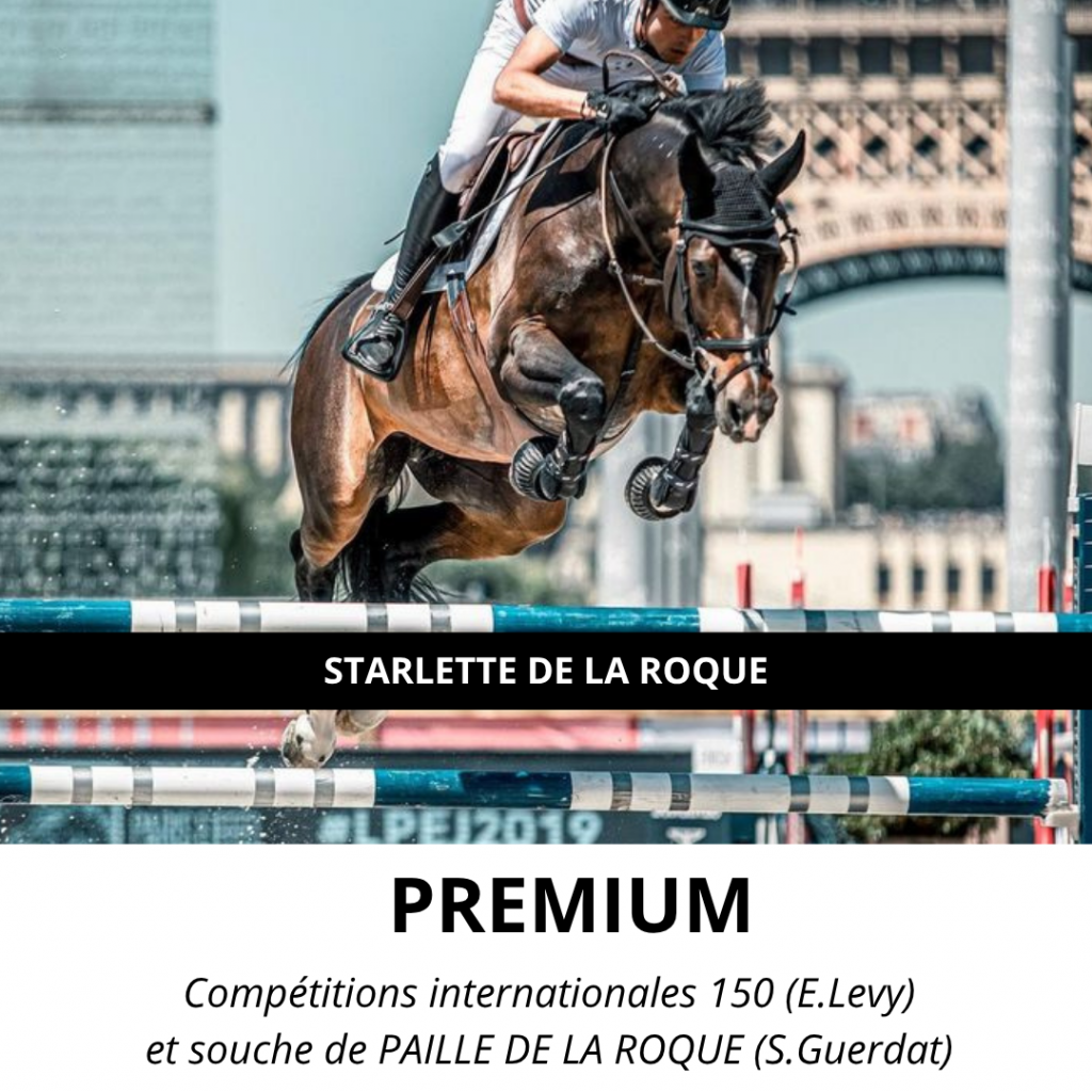 STARLETTE DE LA ROQIE