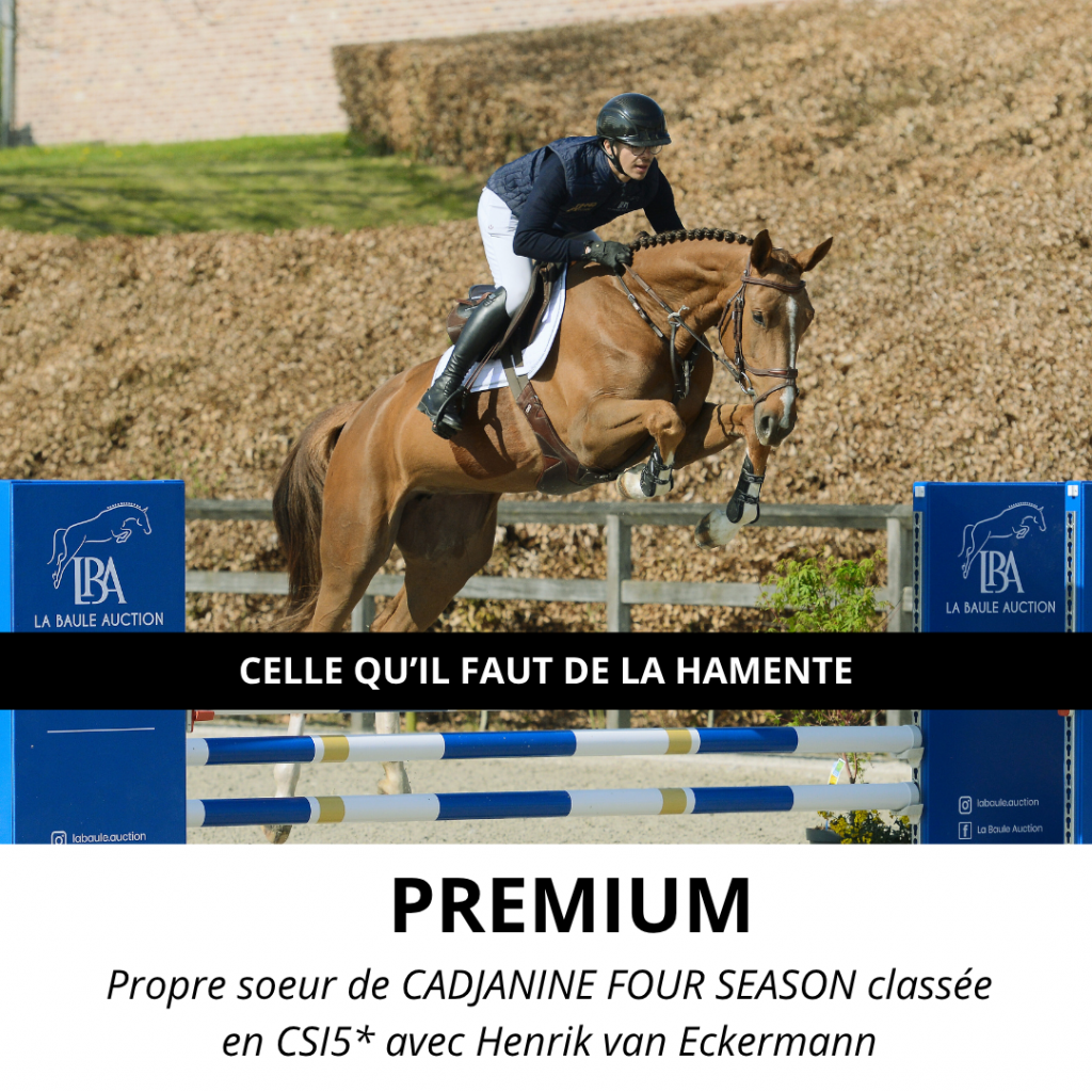 C'ELLE QU'IL FAUT DE LA HAMENTE