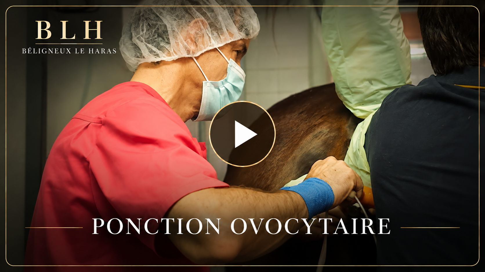 Vidéo ponction ovocytaire