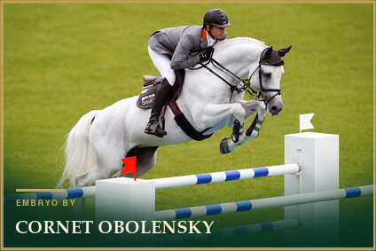 Cornet Obolensky